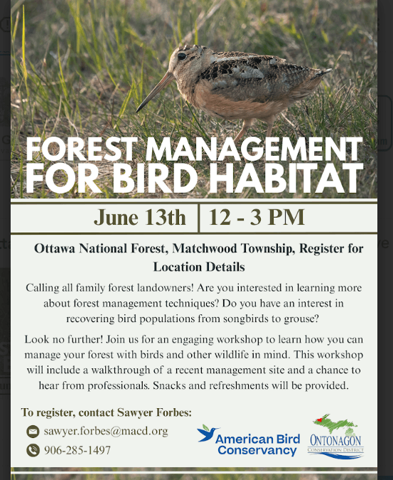Forest Management for Bird Habitat